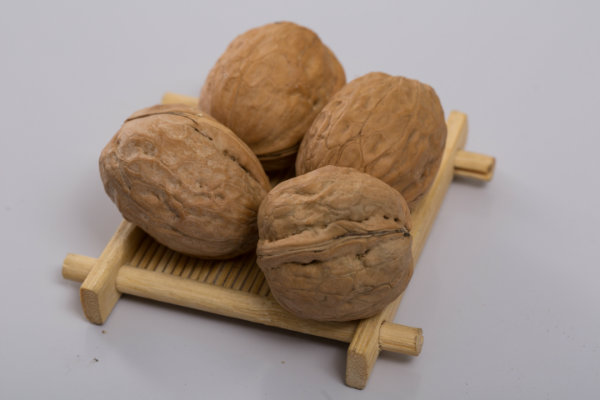 walnut in shell