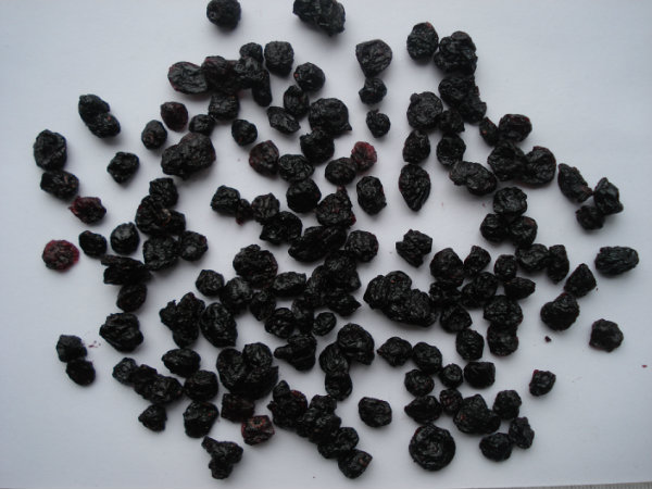 DRIED BLUEBERRY